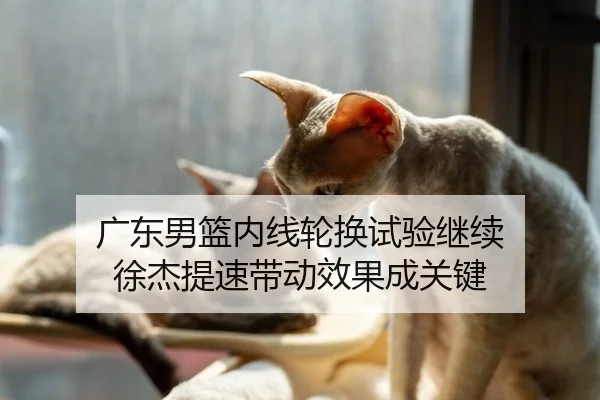 广东男篮内线轮换试验继续 徐杰提速带动效果成关键